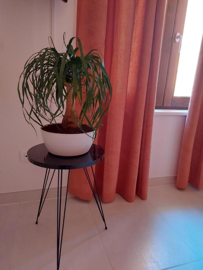 B & B Piazza Angioina L'Aquila Eksteriør billede