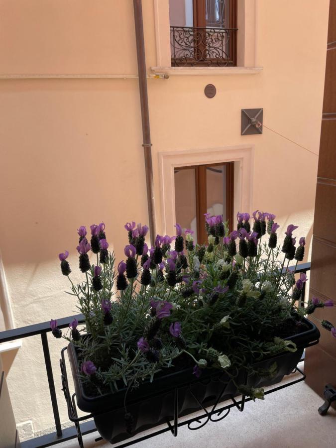 B & B Piazza Angioina L'Aquila Eksteriør billede